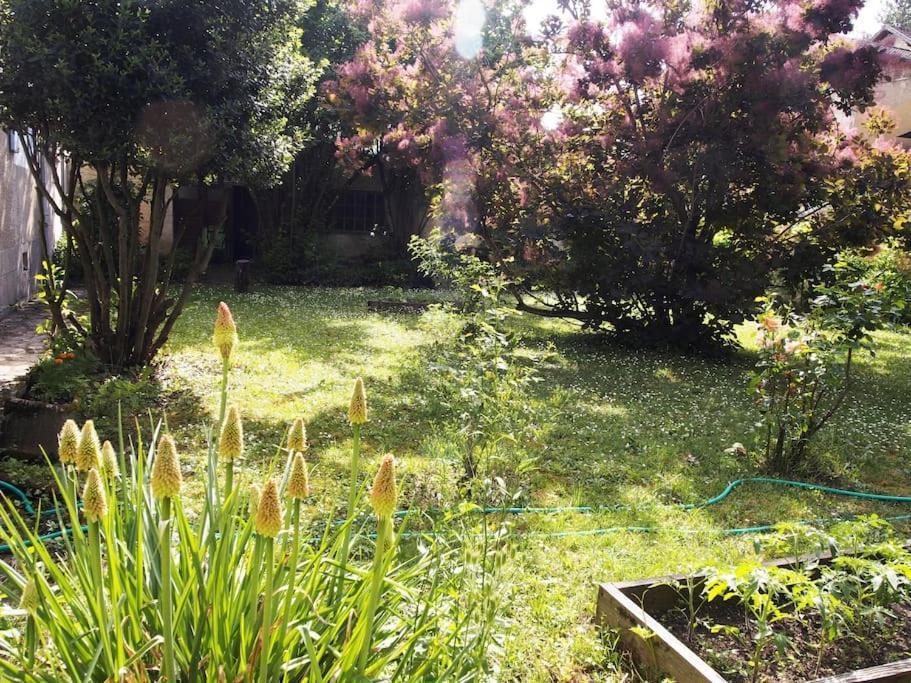 Le 7 Des Tonneliers Bed and Breakfast Castelfranc Εξωτερικό φωτογραφία